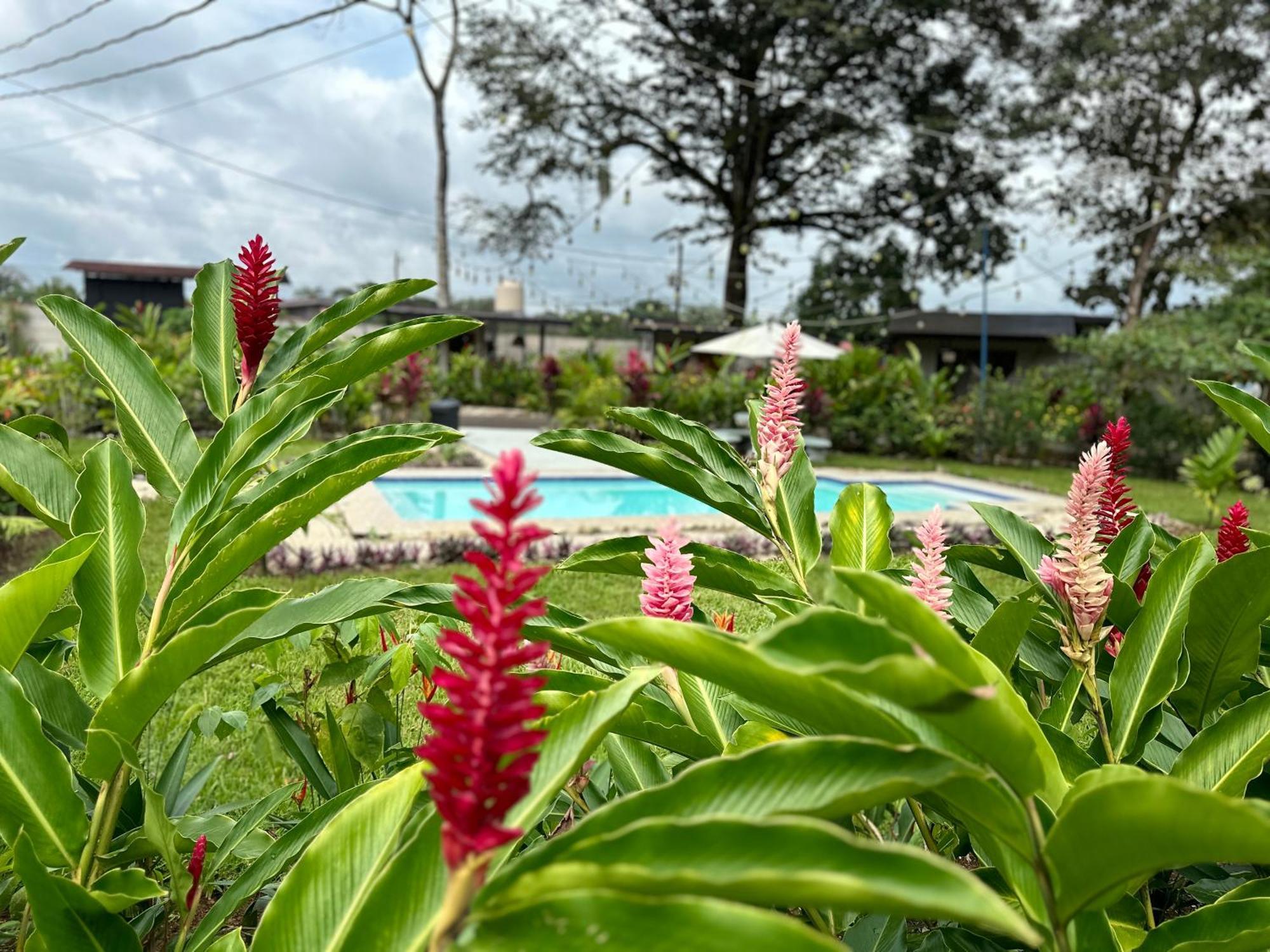 Almendros Eco-Villas La Fortuna Exterior photo