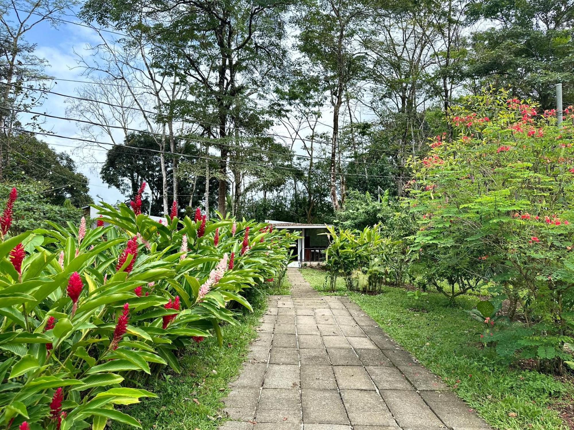 Almendros Eco-Villas La Fortuna Exterior photo