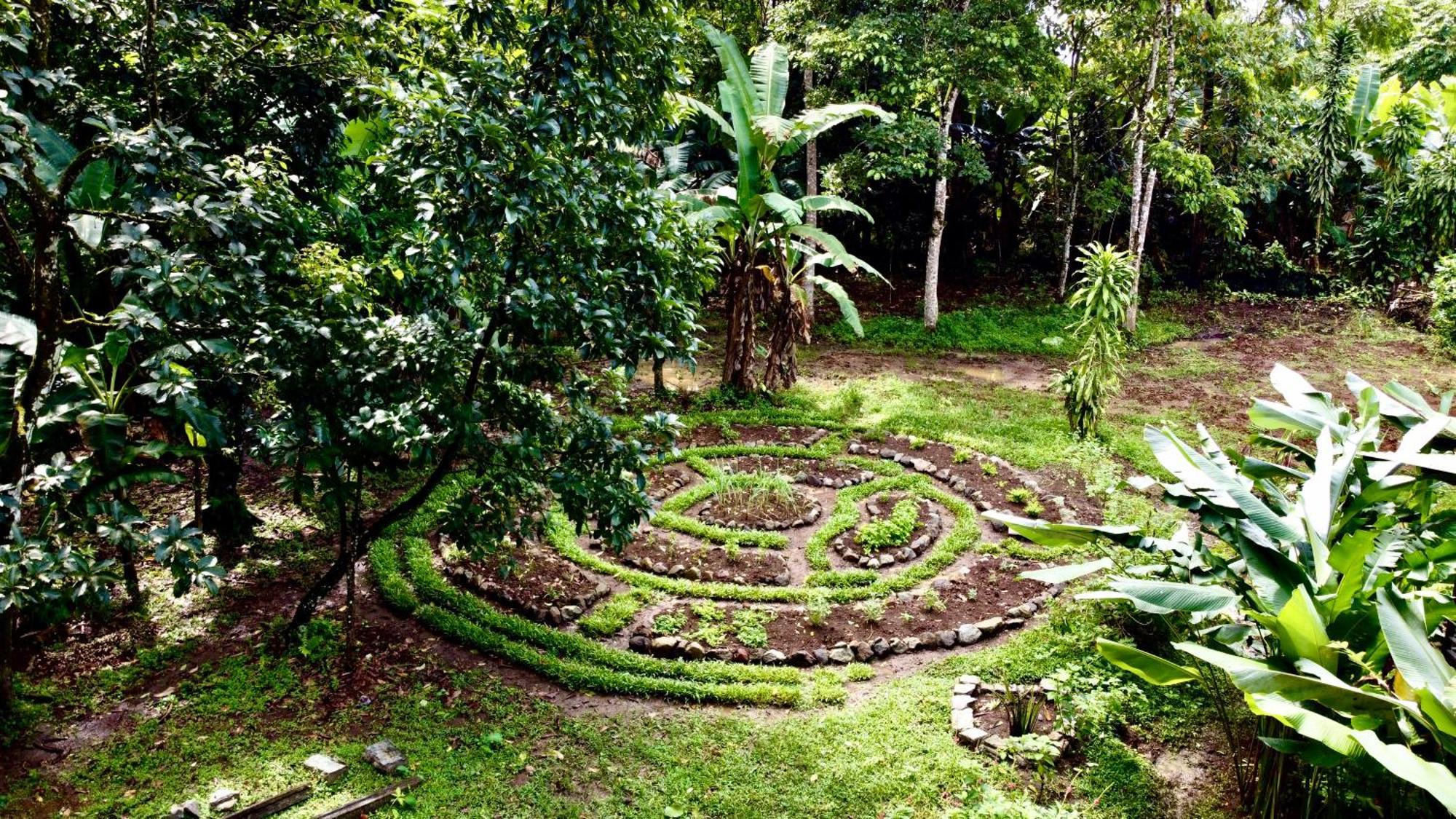 Almendros Eco-Villas La Fortuna Exterior photo