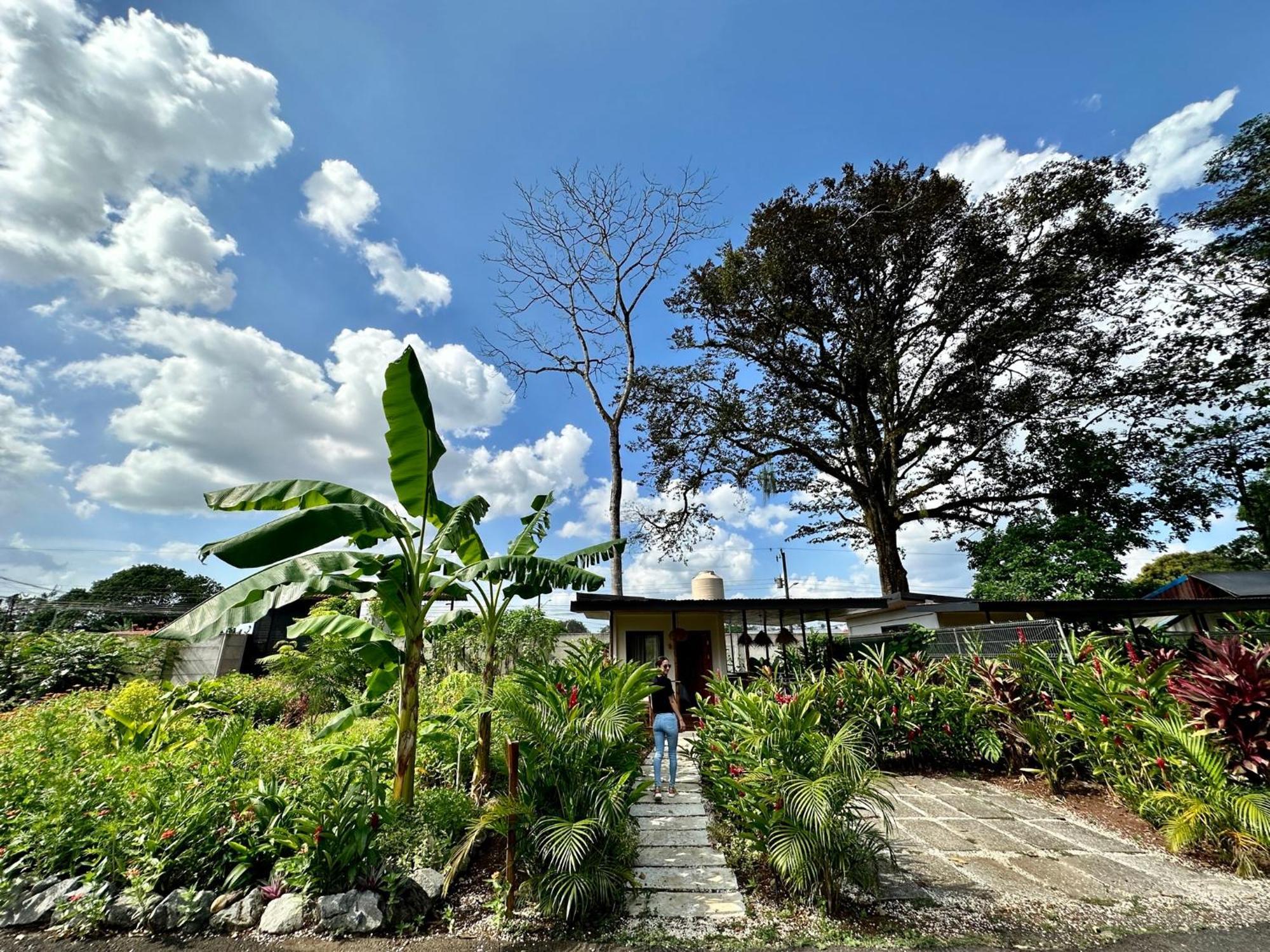 Almendros Eco-Villas La Fortuna Exterior photo