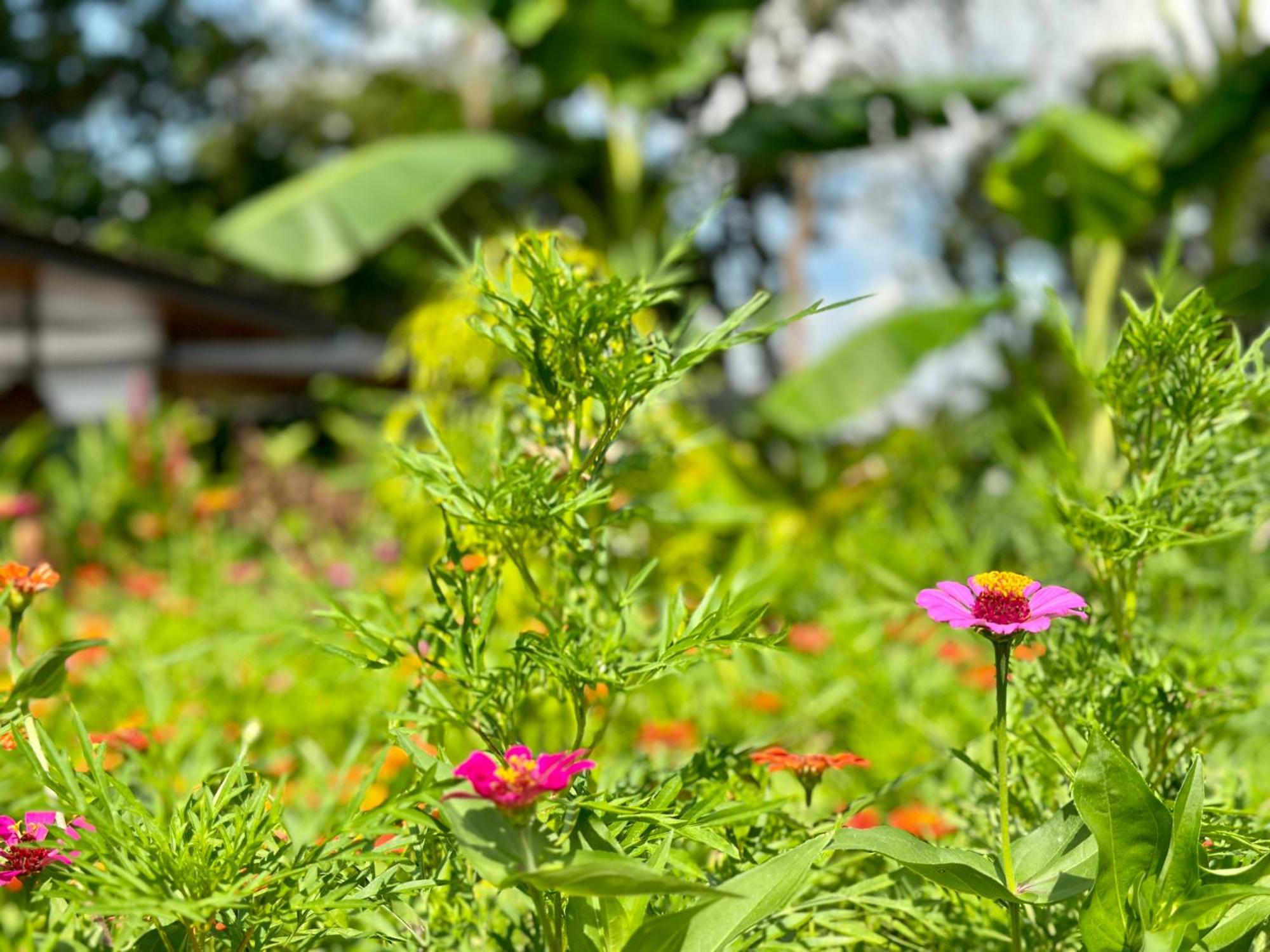 Almendros Eco-Villas La Fortuna Exterior photo