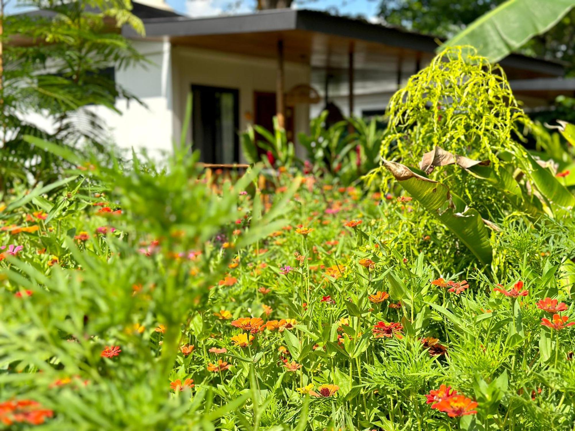 Almendros Eco-Villas La Fortuna Exterior photo